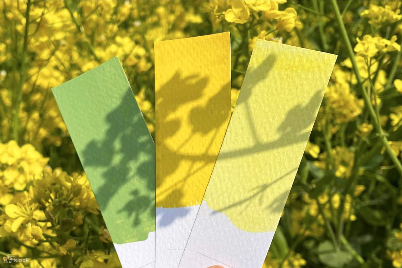 Comparing the yellows and greens of the canola field with color cards lets you see the vivid contrasts found in nature.