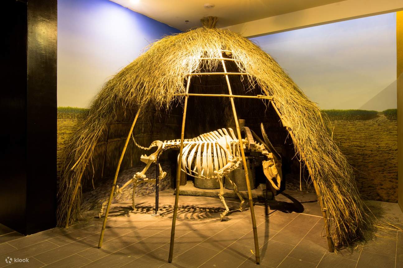 Gli scheletri di dinosauro e i fossili di mammut esposti nel museo sono le due star preferite dai bambini. L'imponenza di questi reperti lascia a bocca aperta molti bambini non appena entrano. Noleggiando un'audioguida e posizionandosi nei punti designati