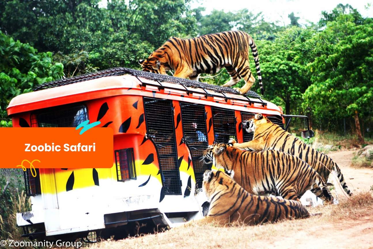 Klook客路通票 苏比克-克拉克