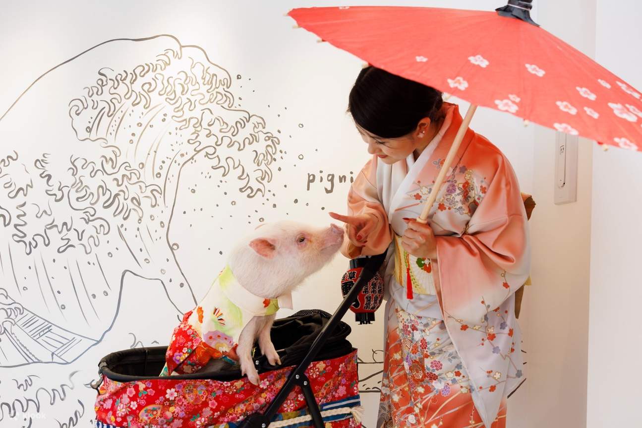 You can also enjoy feeding the animals.