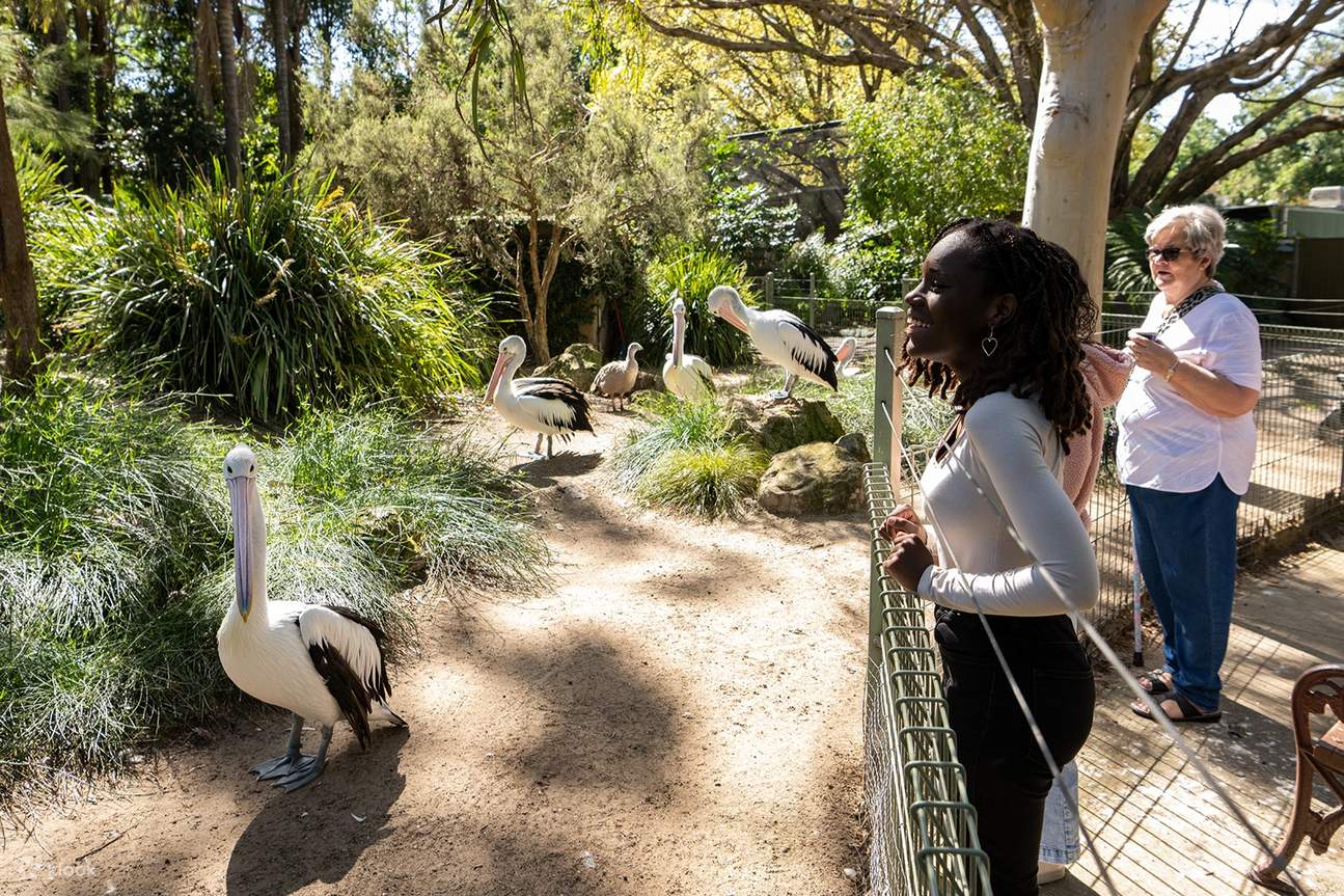 Guardiano per un giorno