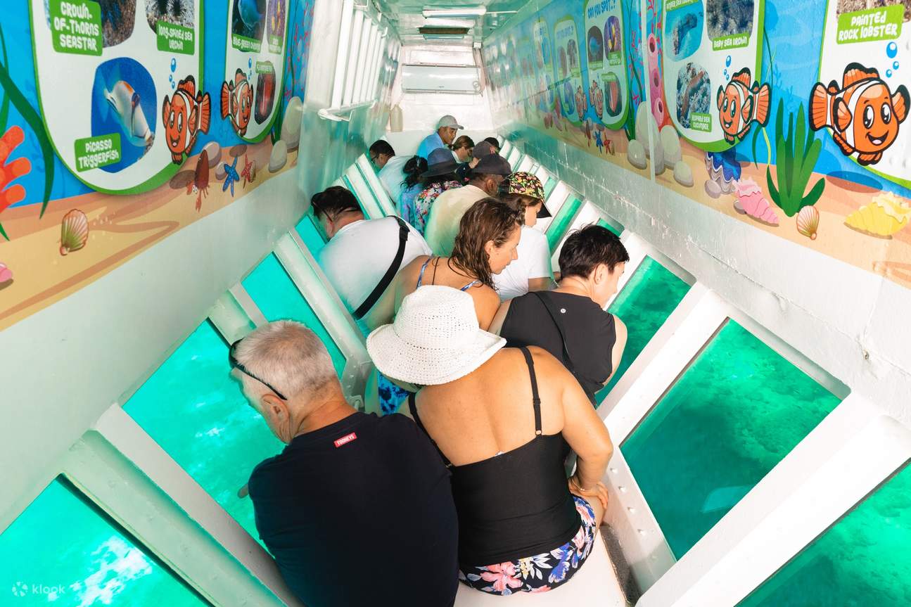 海底总动员半日游 - 丹娜努/威洛洛瓦/楠迪出发