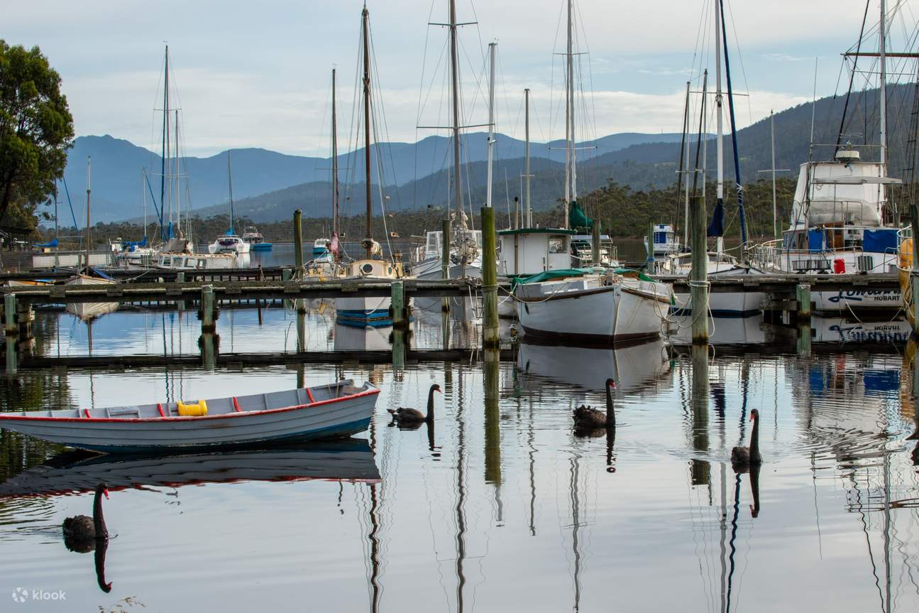 Hastings Caves, Thermal Springs & Tahune Airwalk Tour from Hobart ...