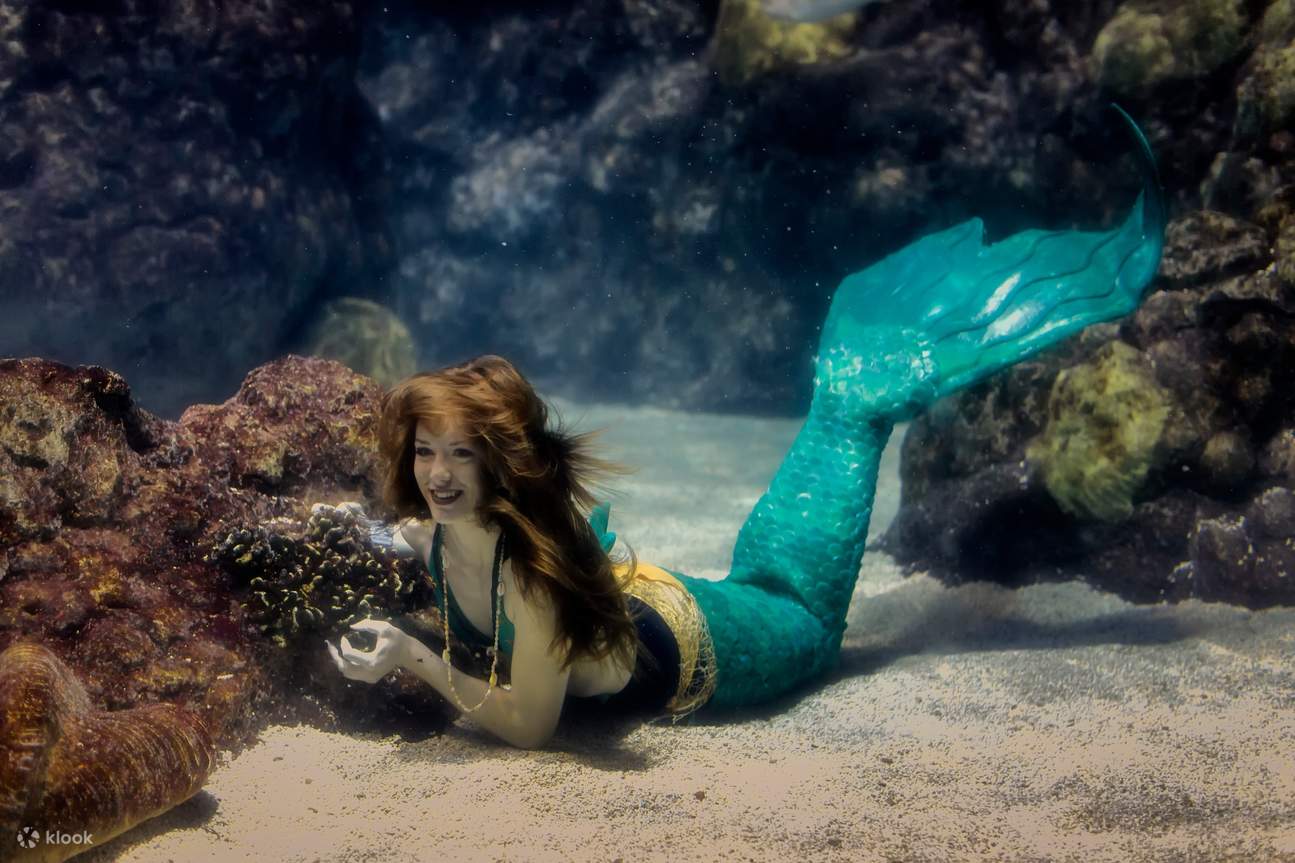 Denver CityPASS Klook