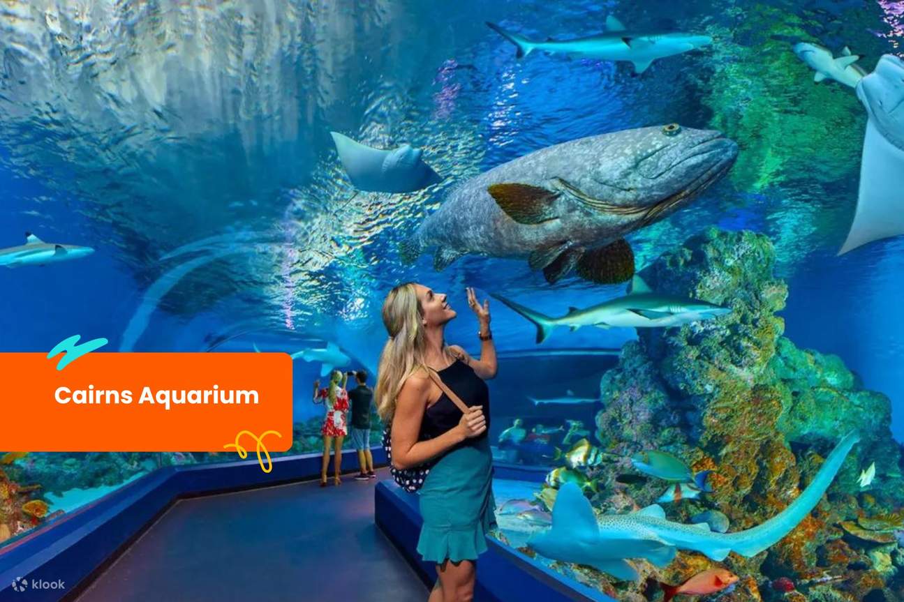 Ticket für das Cairns Aquarium