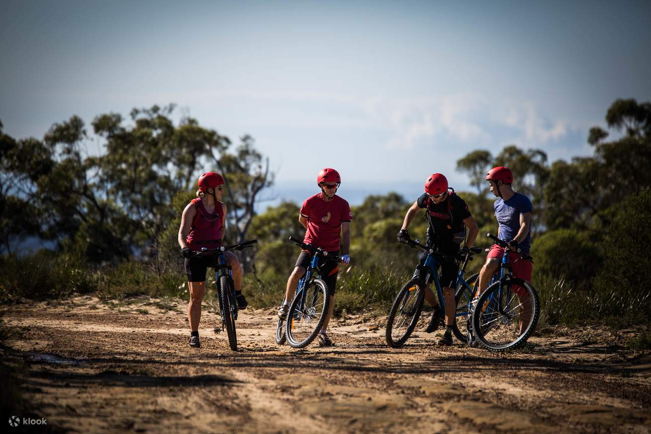 The Oaks Beginner Self guided Bike Hire Trail in the Blue Mountains Klook Australia