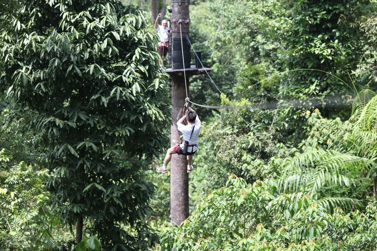 Skytrex Adventure 兰卡威