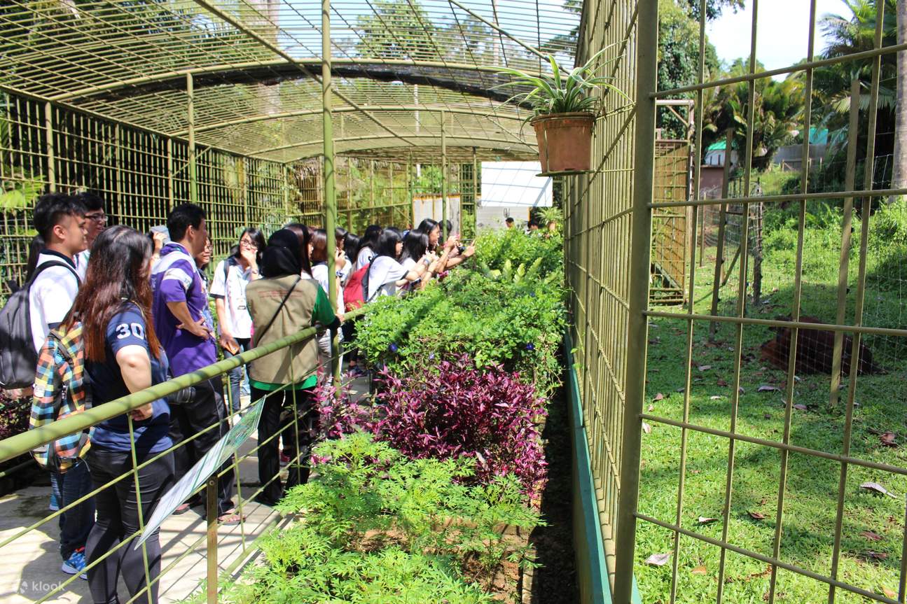 visitar el túnel del orangután 