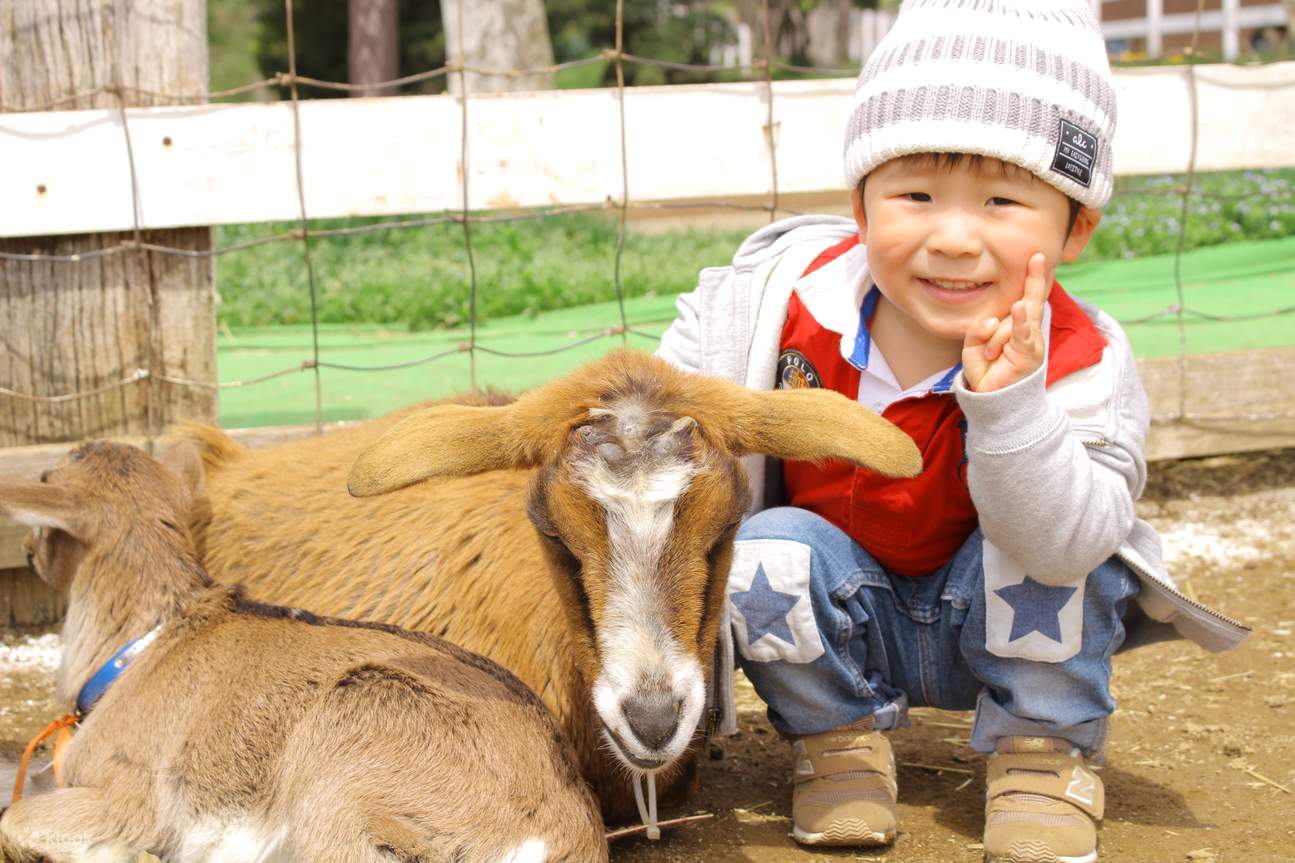 Tiket Narita Dream Dairy Farm