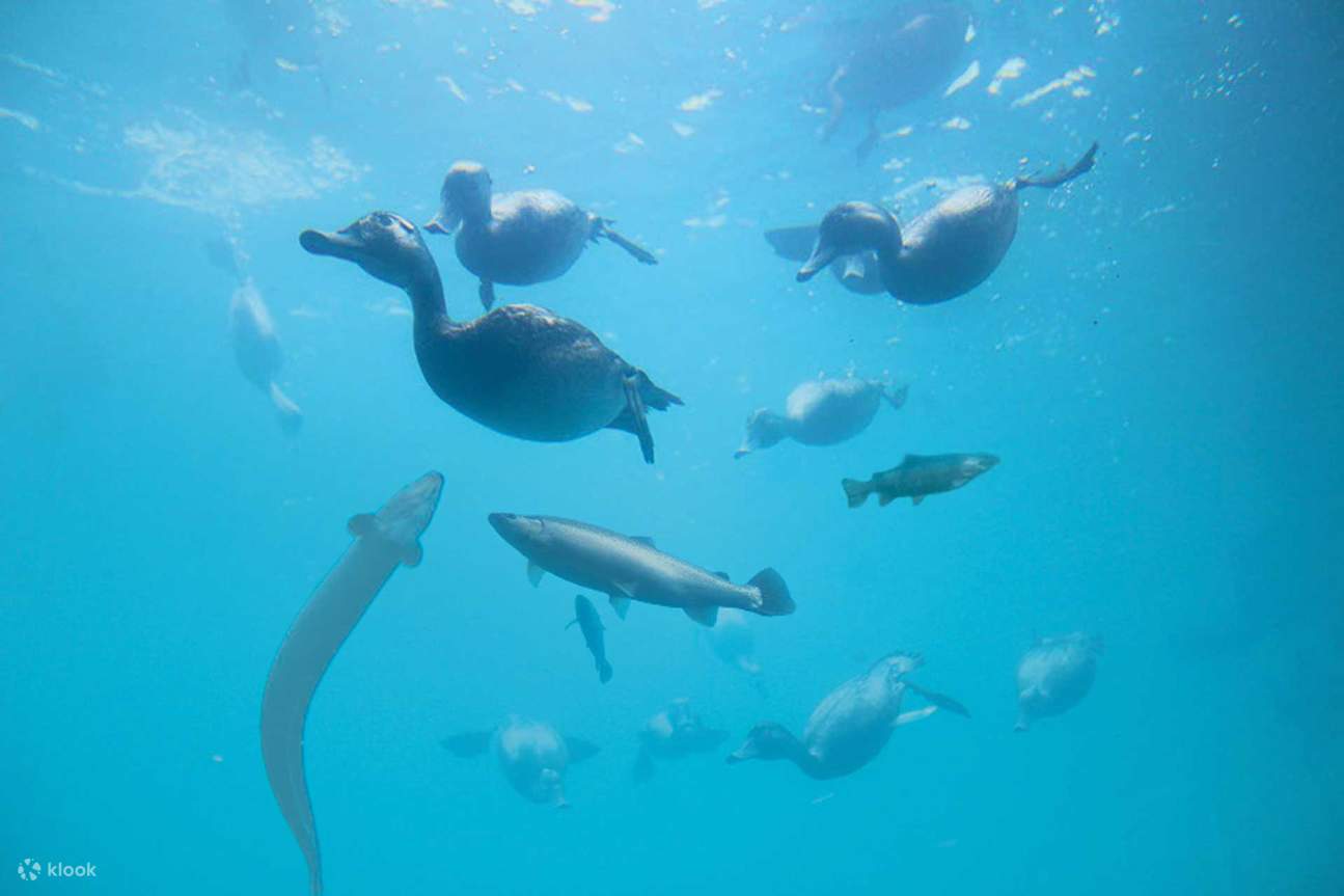 Discover what's hidden under Lake Wakatipu