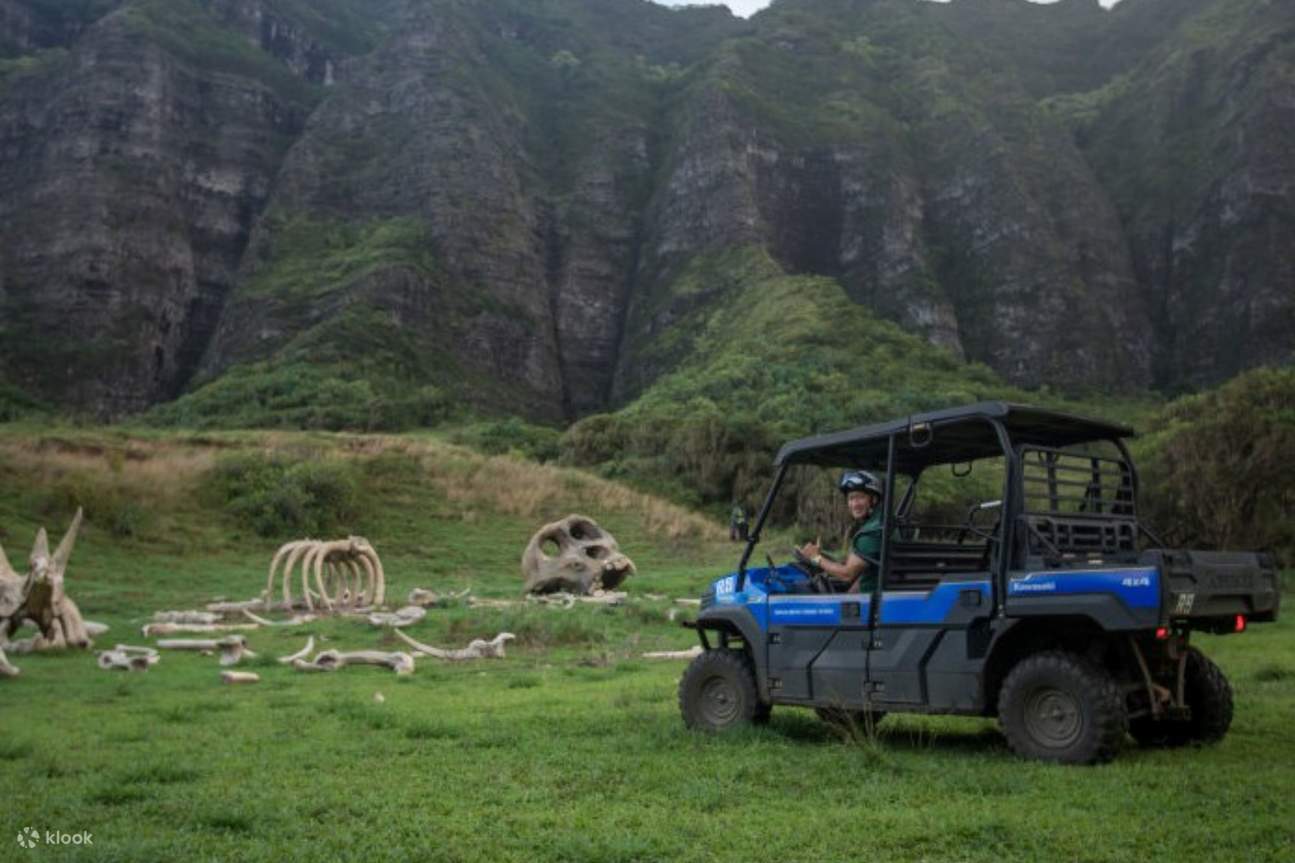 Repérez les ossements de dinosaures sur les lieux de tournage de célèbres films hollywoodiens !