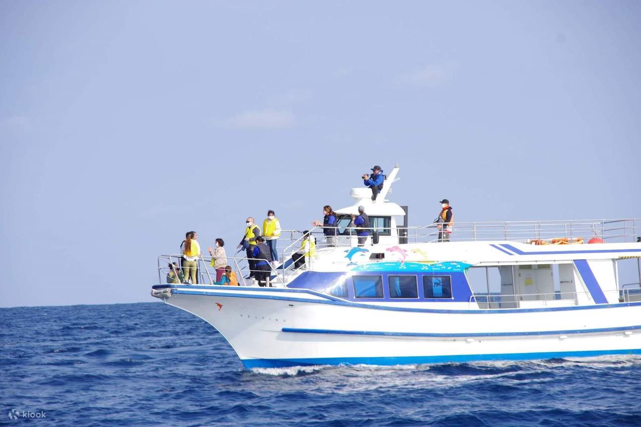 Whale watching tour by Sesoko Beach Marine Club