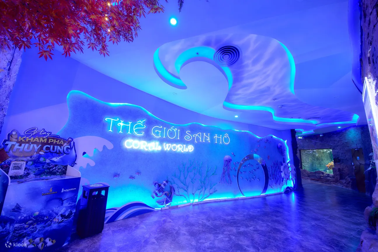 Vinpearl 水族馆的全新珊瑚世界水族馆是一个迷人的水下绿洲，不仅为游客提供了充满活力的珊瑚礁世界的迷人视角，而且已成为游客捕捉令人惊叹的