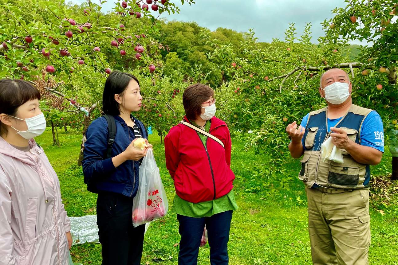 水果采摘体验导游