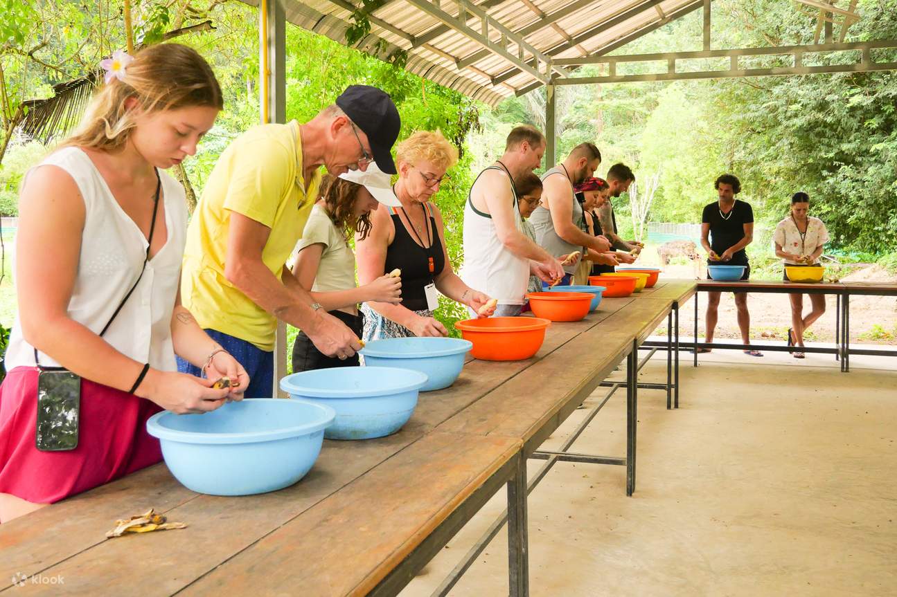 Lawatan Peribadi Krabi : Mandi Gajah & ATV Air Terjun Huay Tho