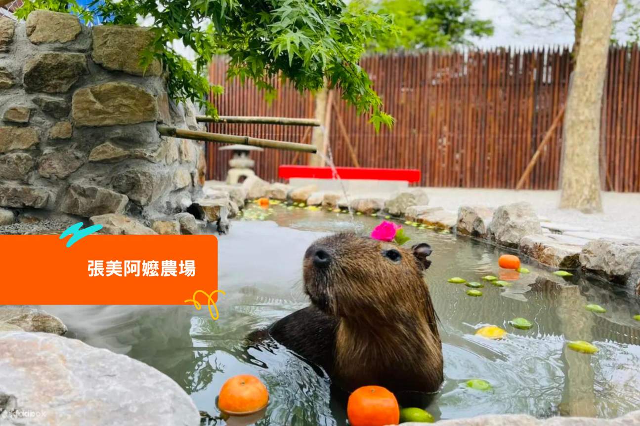 클룩 패스 이란 (宜蘭) 놀거리 패스