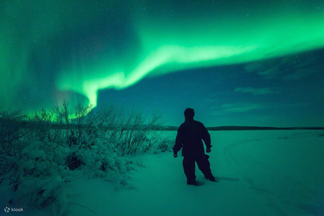 Northern Lights Safari with Heated Snowmobile Sleigh on Lake Inari