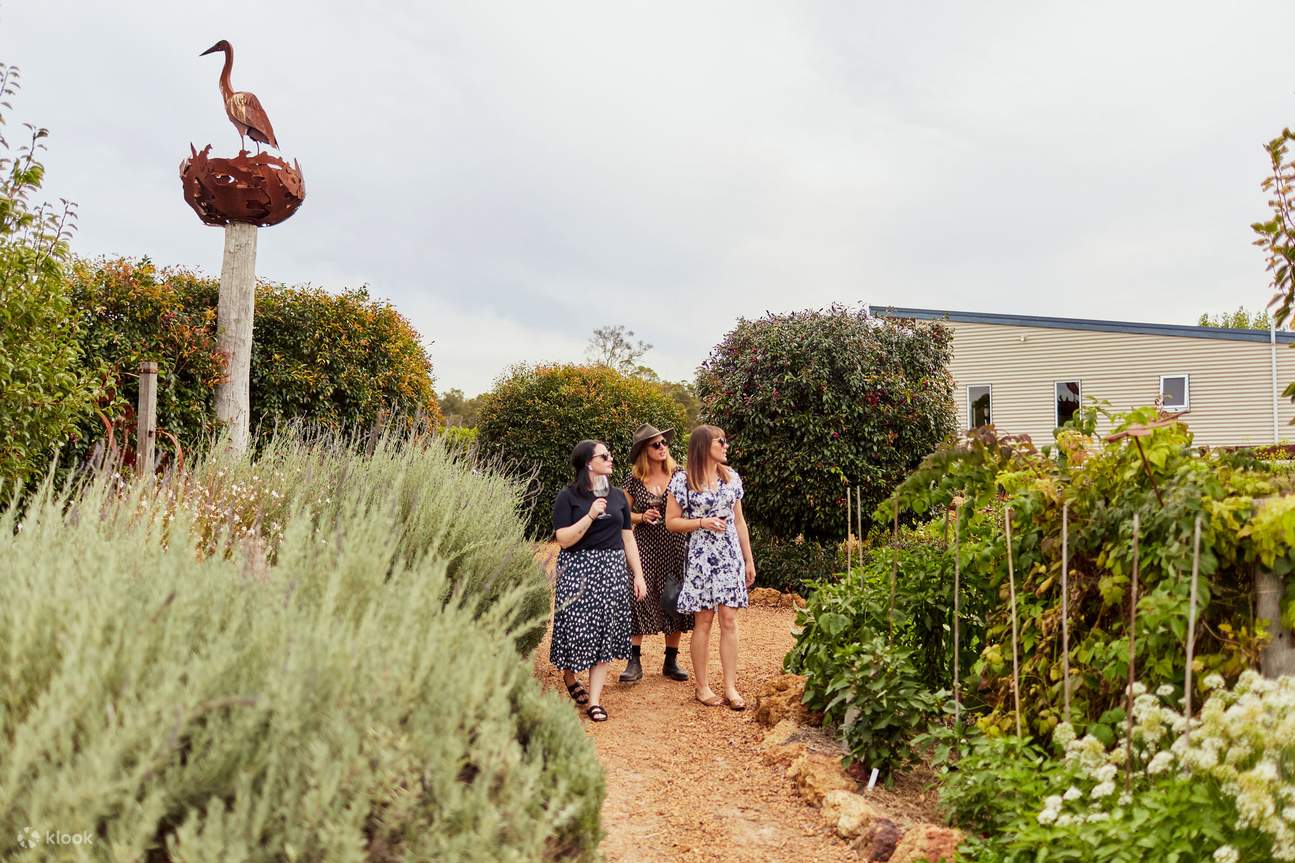 ร่วมทัวร์ชมสวนประสาทสัมผัสไวน์ (Wine Sensory Garden) ที่ได้รับการดูแลอย่างพิถีพิถันของ Whicher Ridge พร้อมจิบไวน์รสเลิศไปด้วย