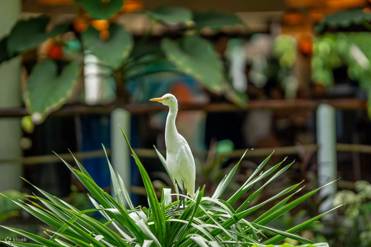 Tour Ngày Daluyon Beach and Mountain Resort ở Palawan