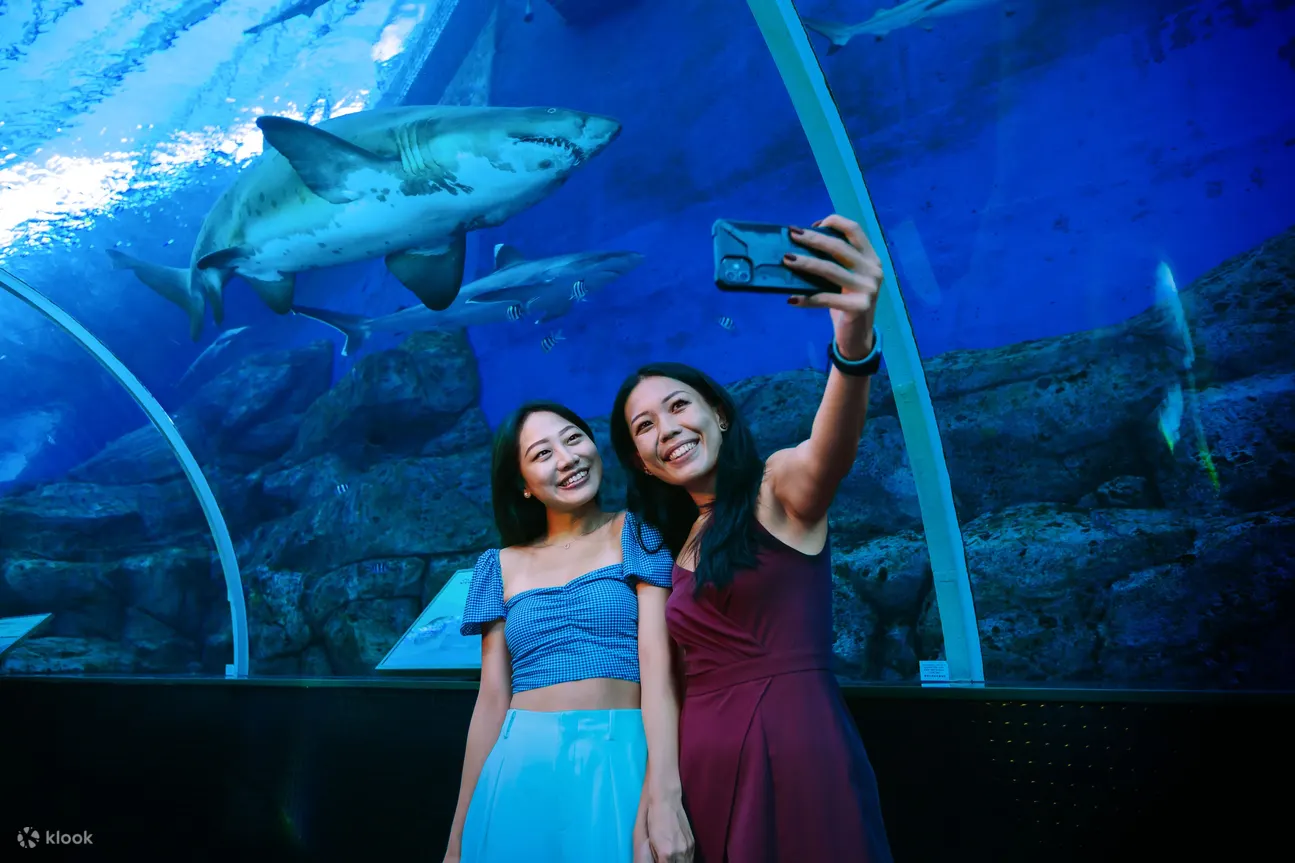 บัตรเข้าชมพิพิธภัณฑ์สัตว์น้ำ S.E.A. Aquarium ในเซ็นโตซ่า (Sentosa) สิงคโปร์  (Singapore) - Klook ประเทศไทย