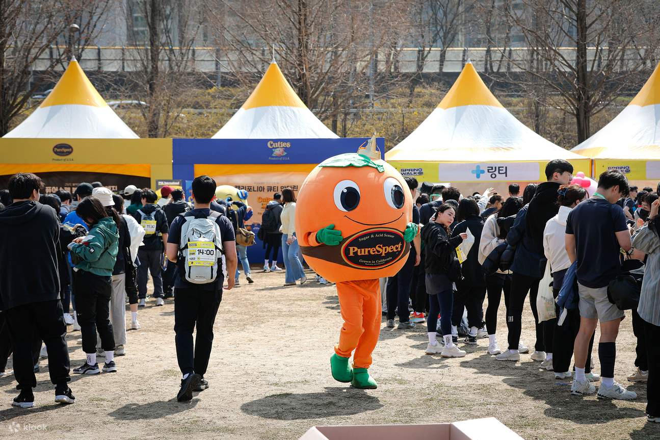 2026 Spring Walk Seoul 7.5K | Namsan Road Walking Challenge - Klook ...