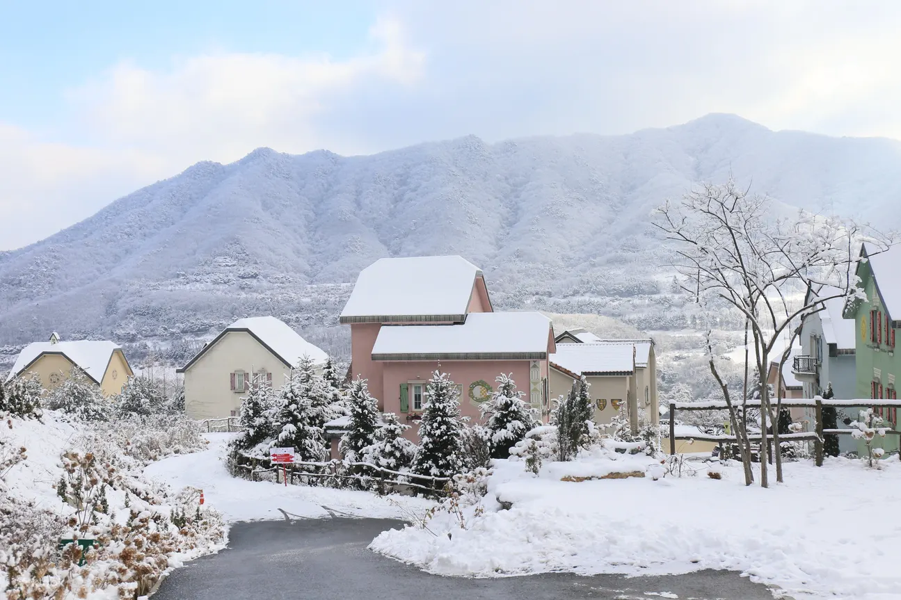 冬天的风景