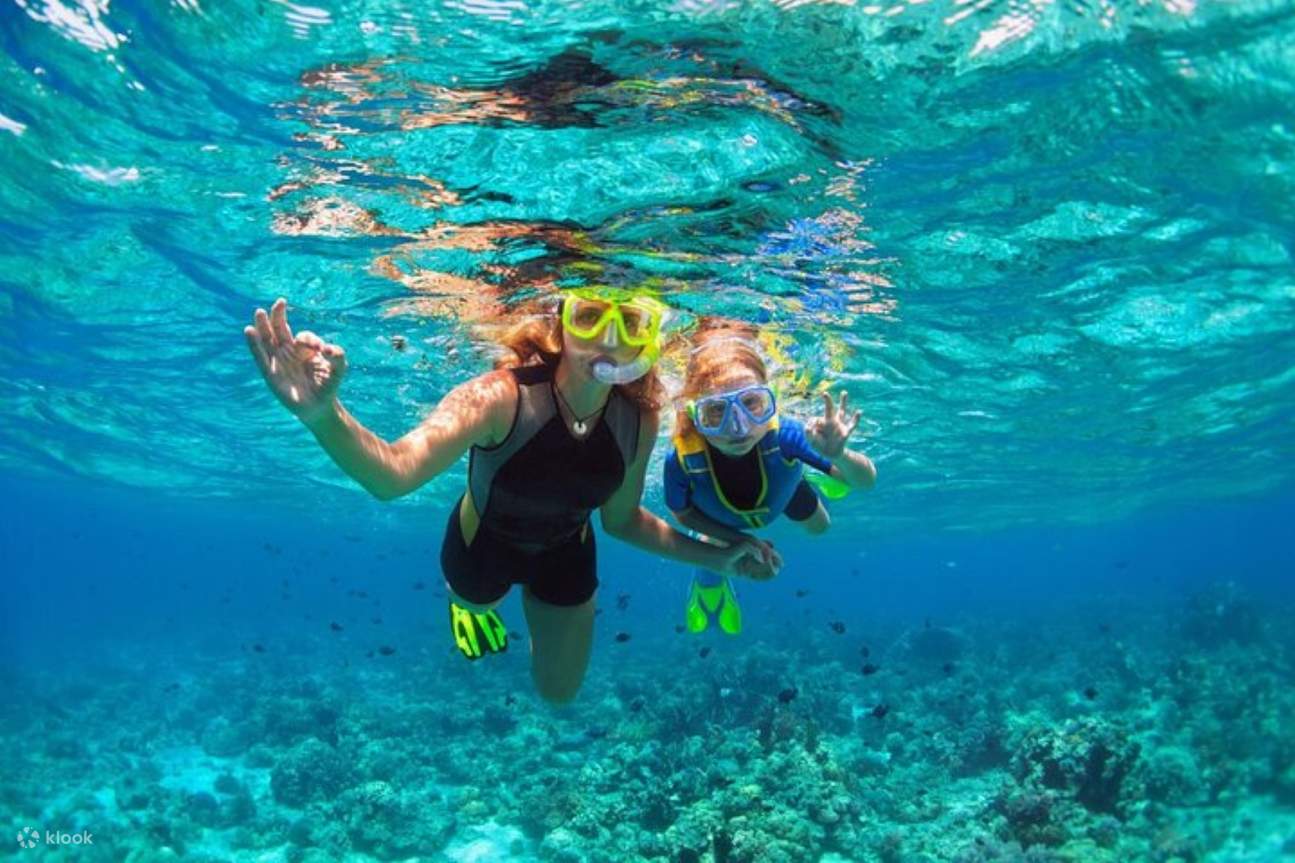 Tour di snorkeling a Coral Gardens, trasferimenti e pranzo – Marsa Alam