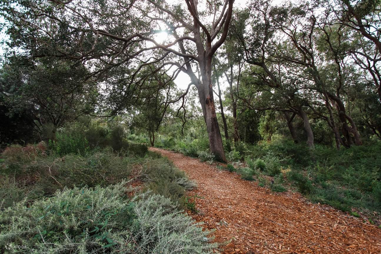 Kings Park Botanicals & Beyond 조인 2시간 30분 하이킹 투어 클룩 Klook 한국