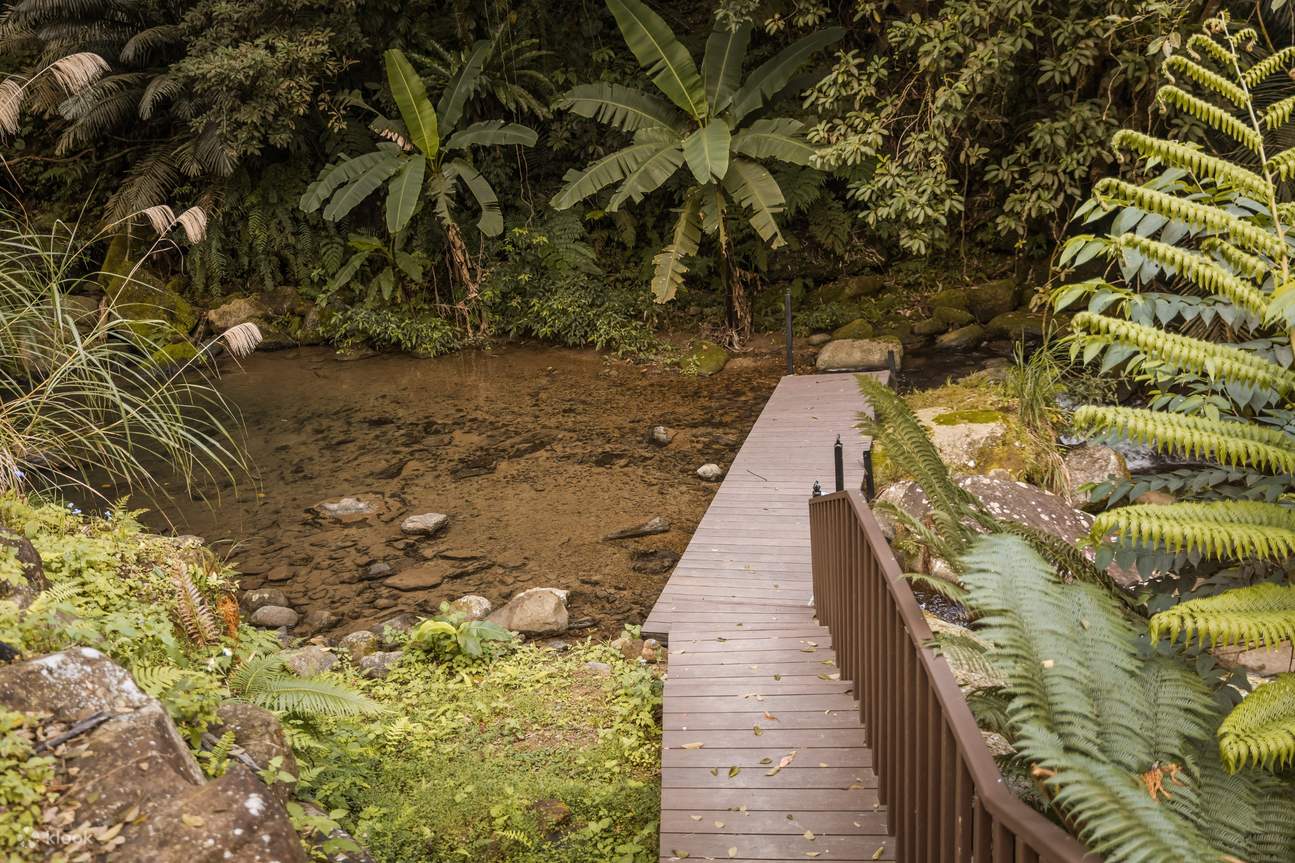 静かなキャンプ場を楽しむ
