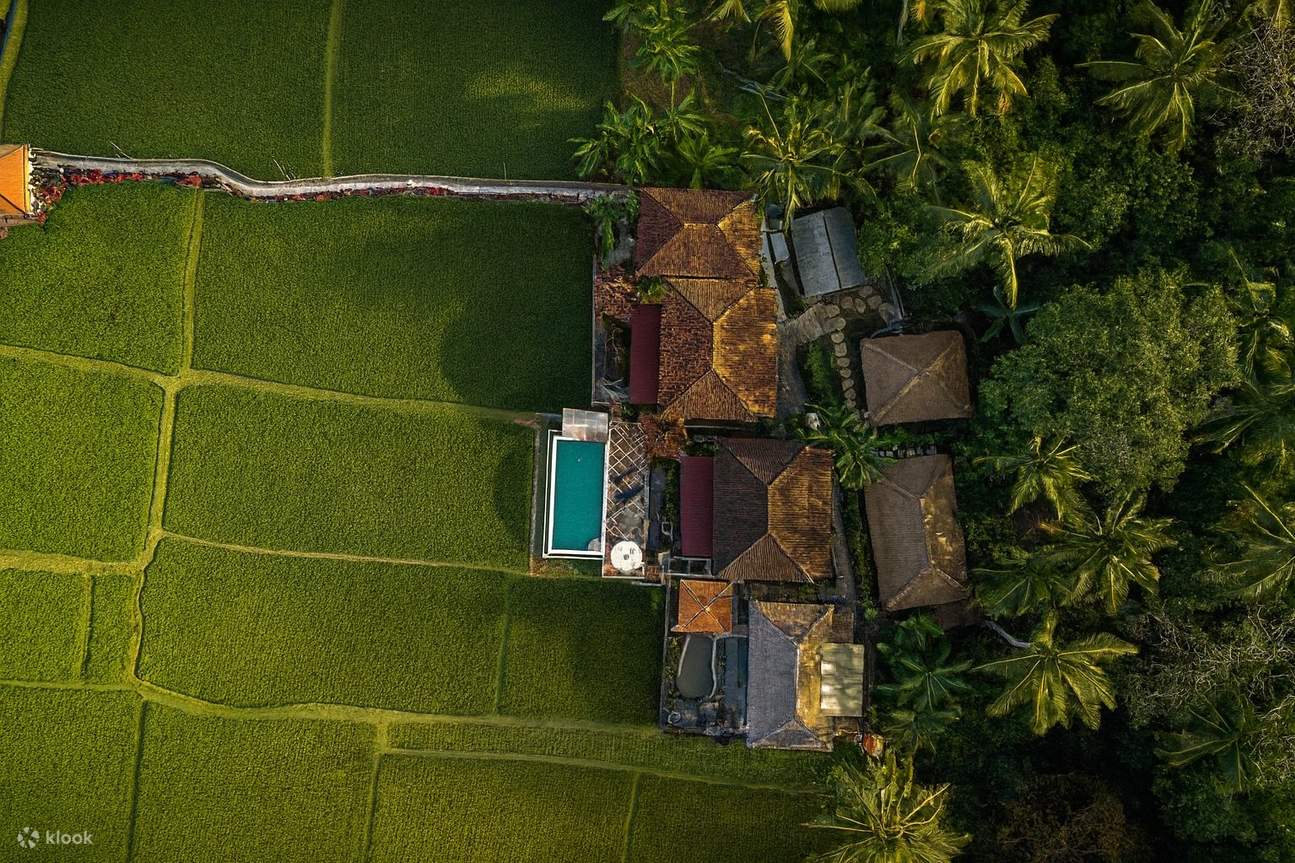Retiro de luciérnagas de 7 días en Ubud, Bali