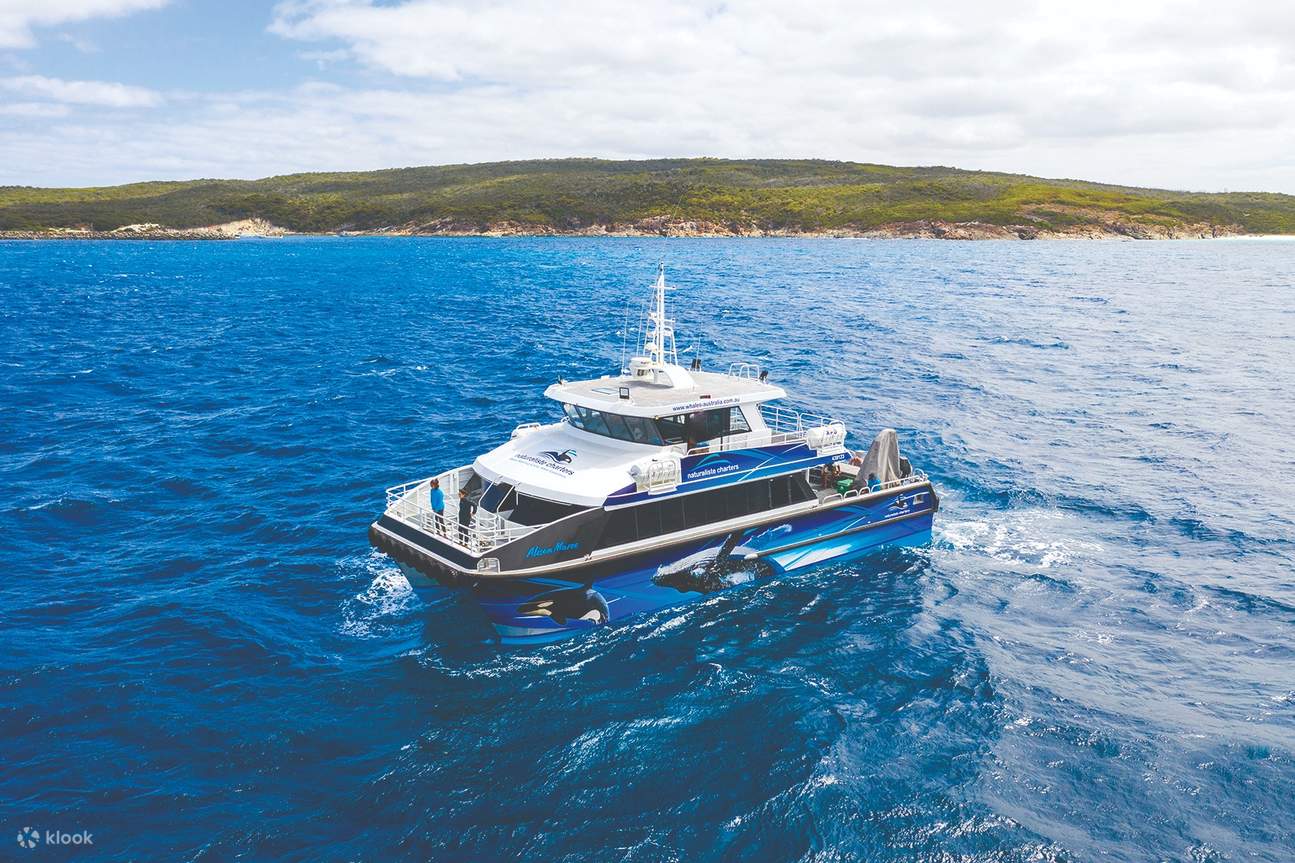 고래 와칭 크루즈