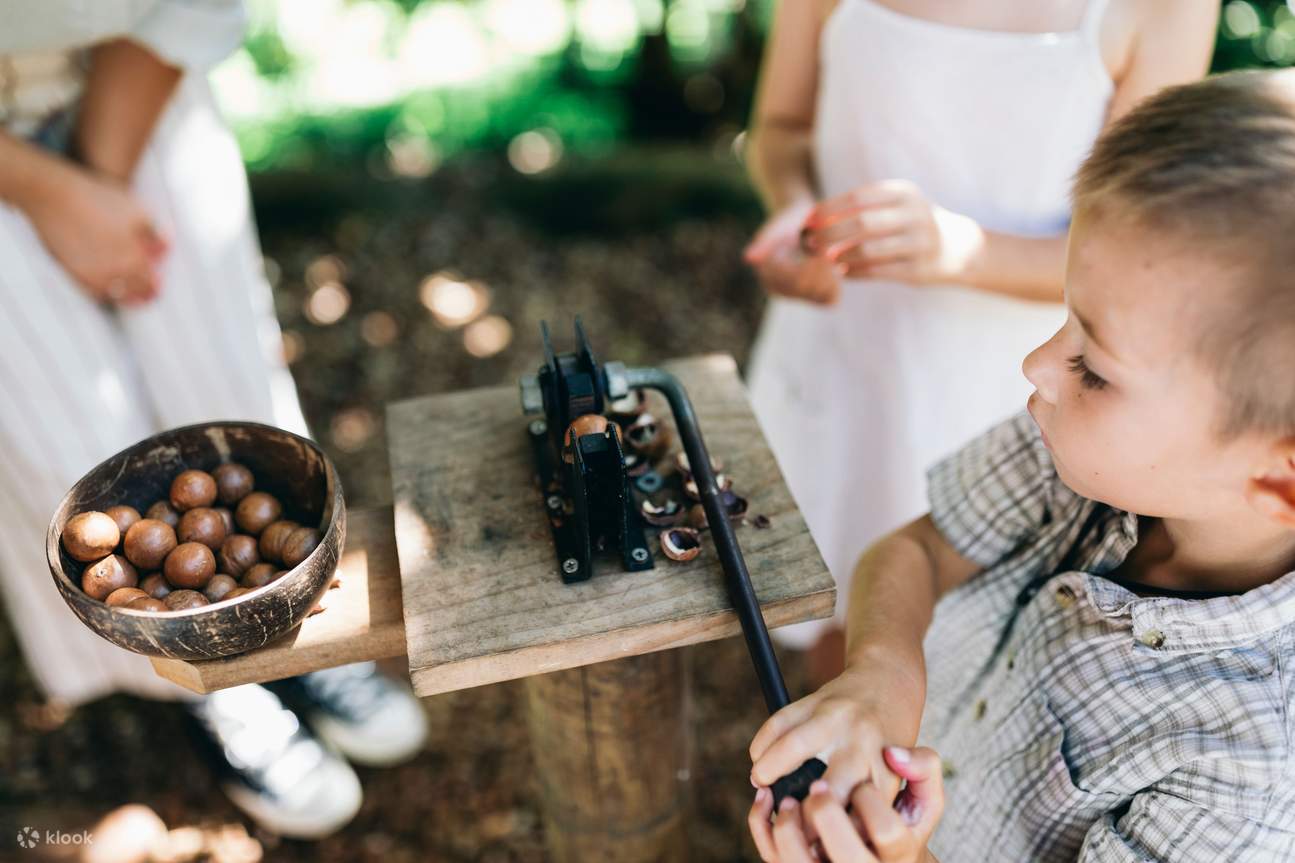 Tropical Fruit World Farm Tour in Byron Bay - Klook, Vereinigte Staaten