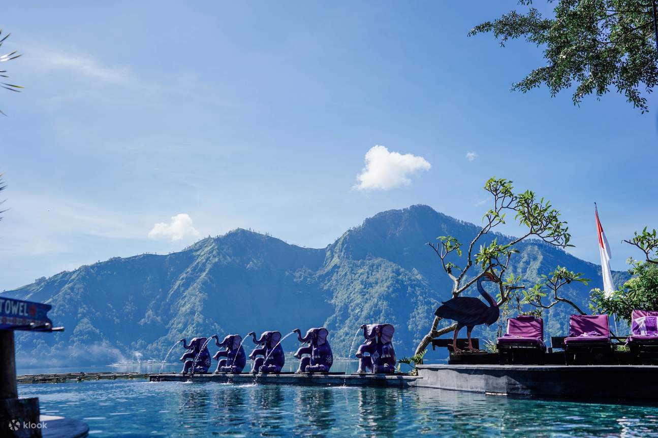 山の景色を望むインフィニティプール