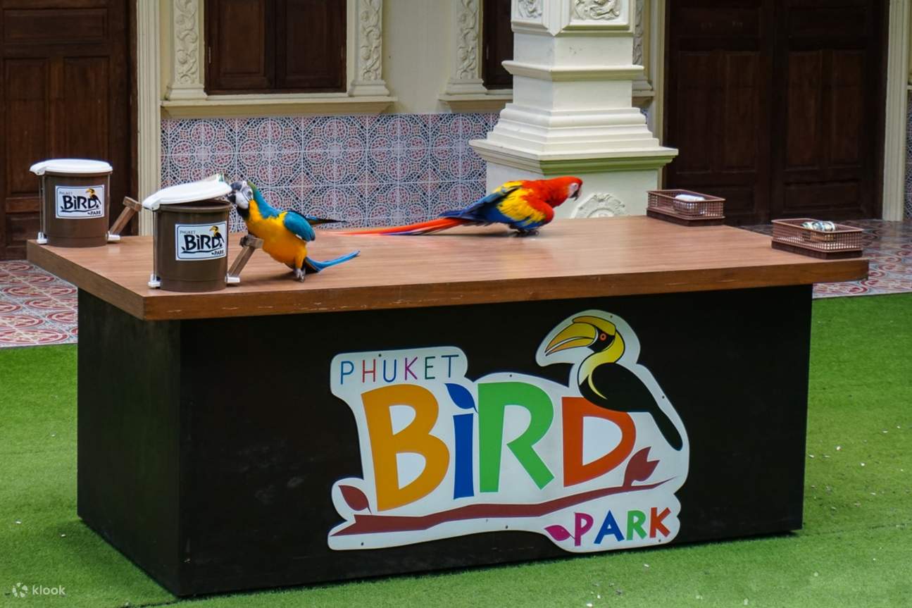 espectáculo de aves Phuket Bird Park