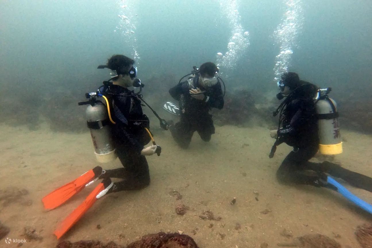open water diving course in taipei