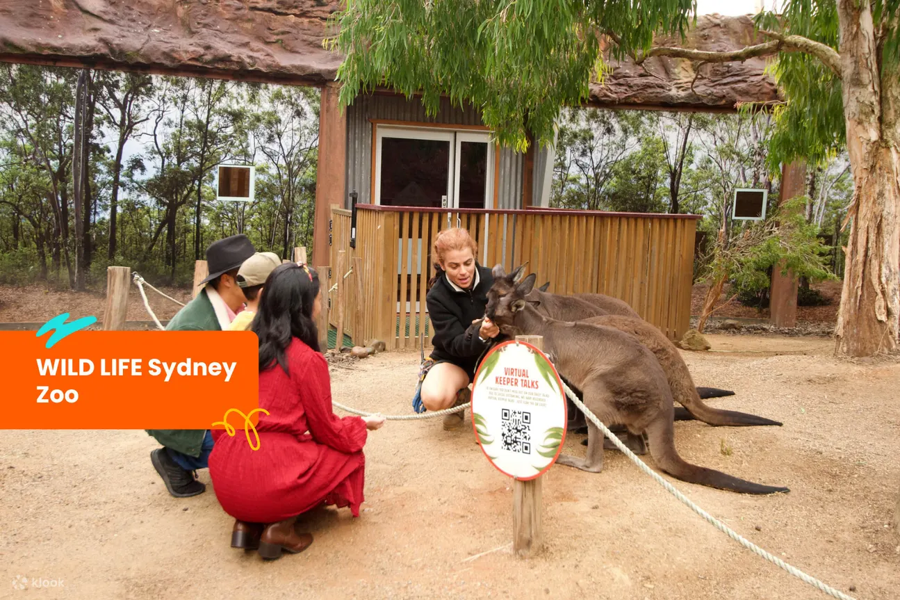 悉尼野生动物园 (Wild Life Sydney Zoo)