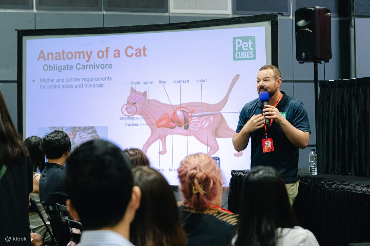 Bring your furry felines to Asia Cat Expo 2024! Klook