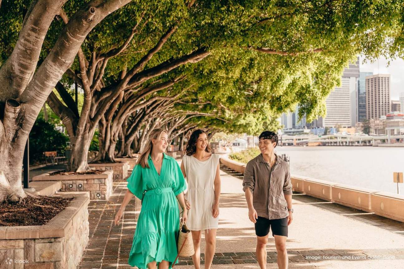 与朋友一起冒险