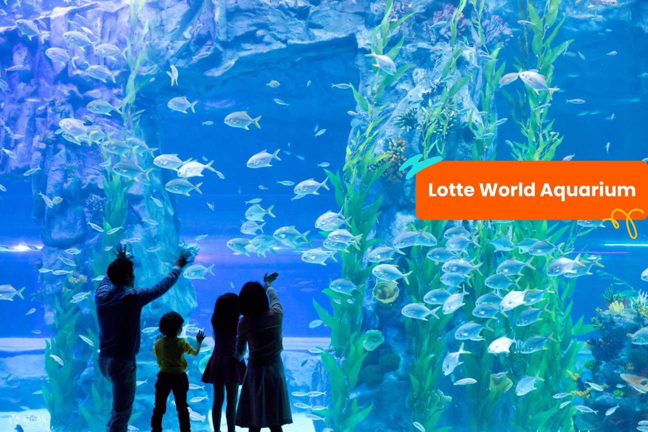 บัตร Klook Pass โซล