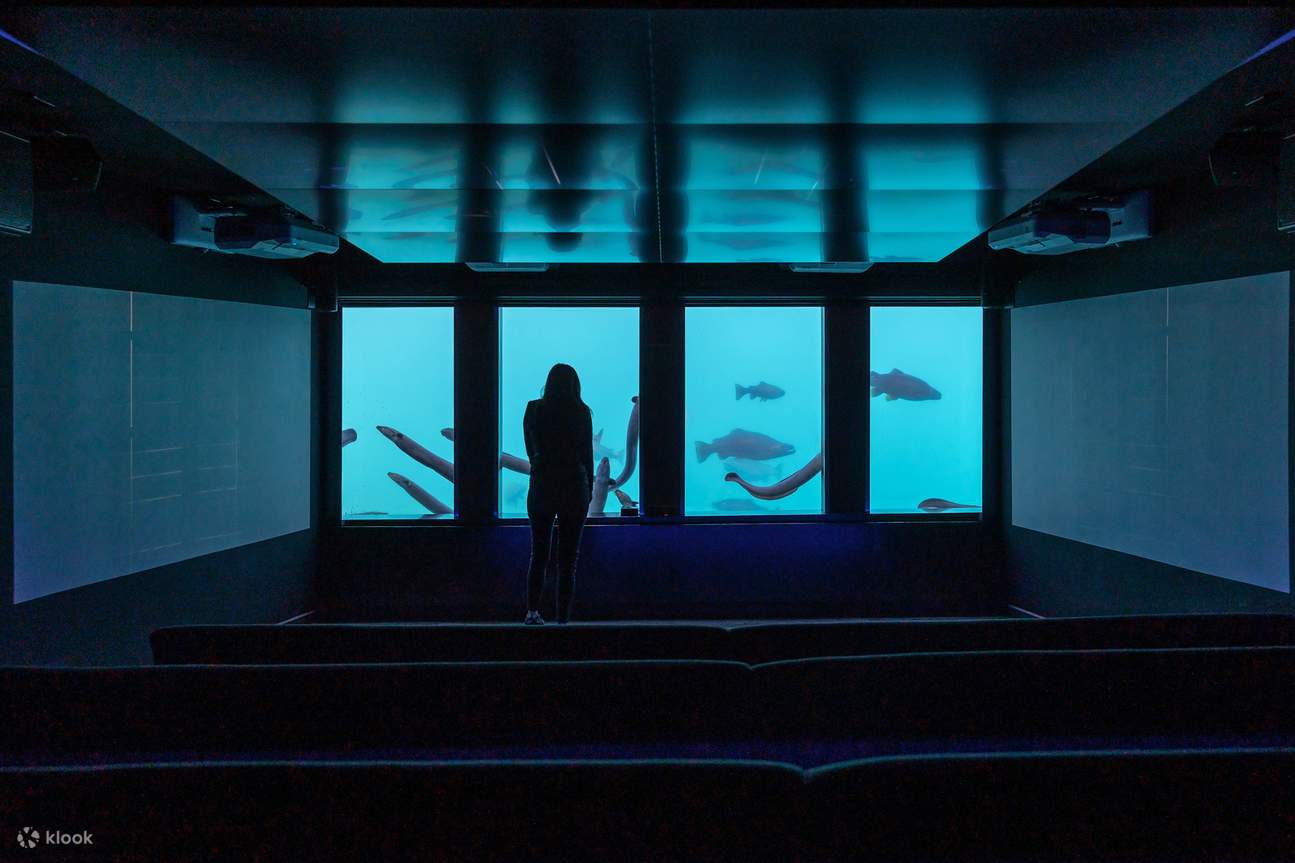 Queenstown Unterwasserobservatorium und -theater