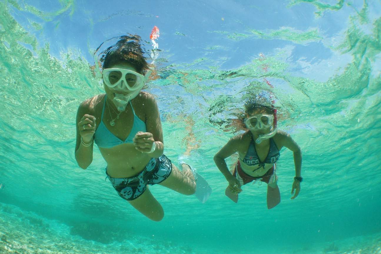 石垣島幻之島登陸 & 浮潛/體驗潛水
