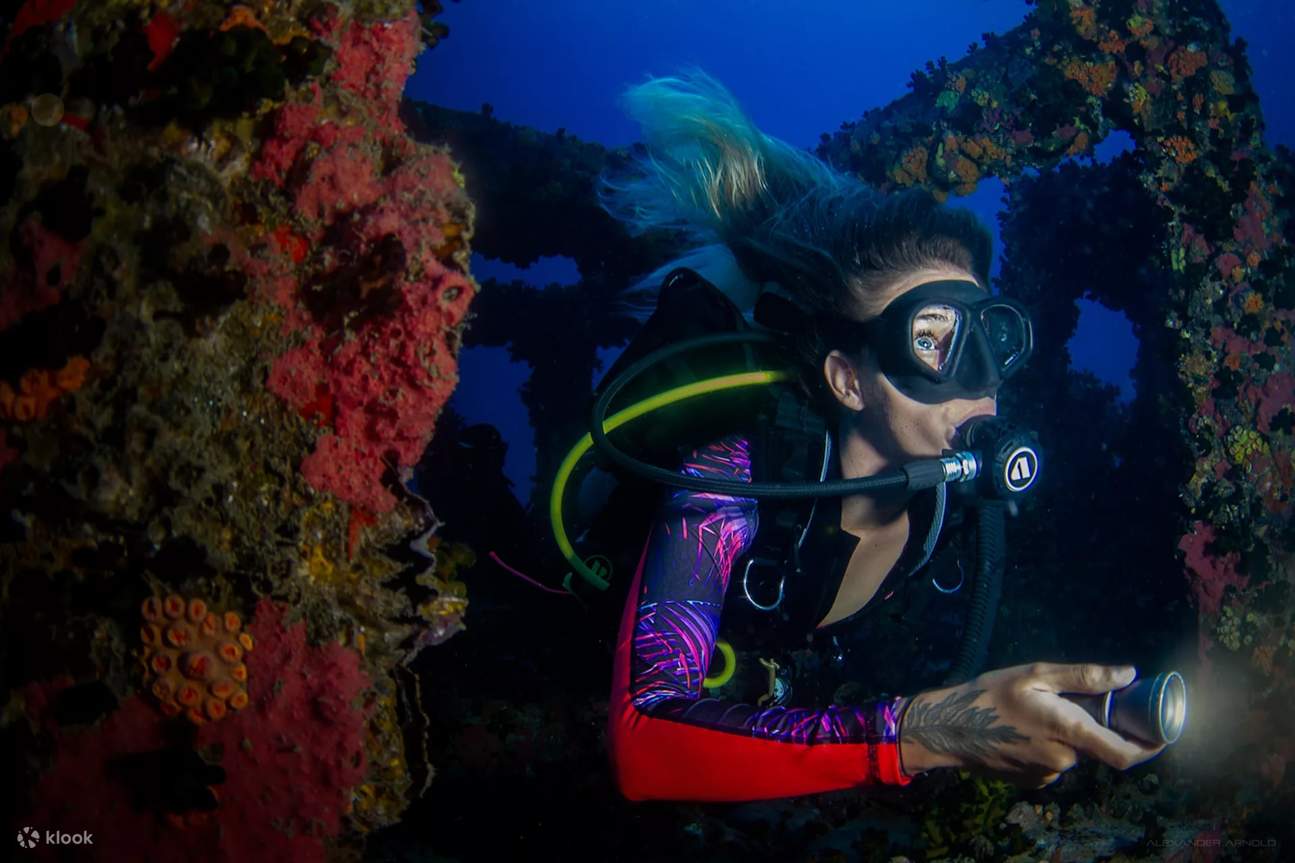 Respirez l'air enrichi d'enthousiasme en devenant un plongeur Nitrox à Koh Phangan – où chaque plongée est un pas vers un monde d'exploration sous-marine prolongée.