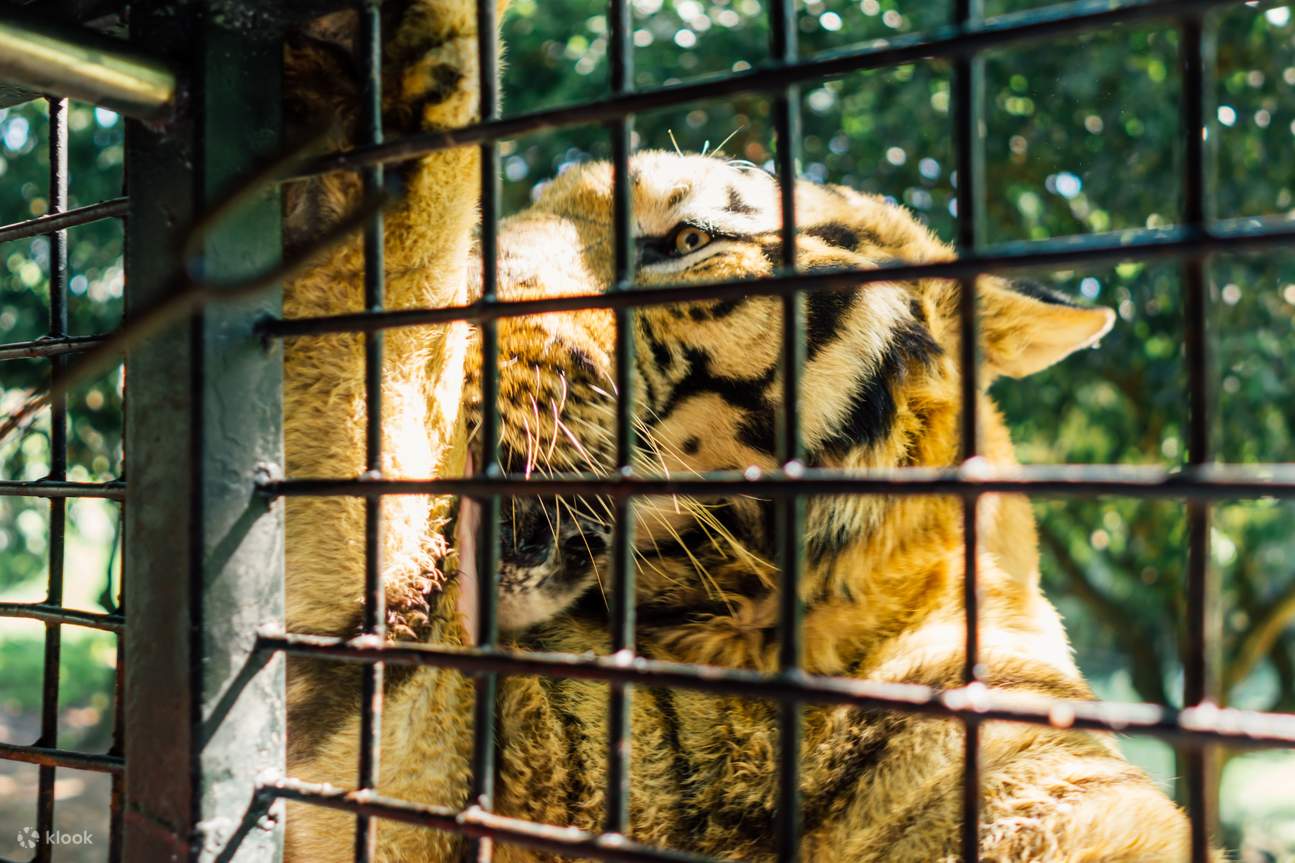 Thuê xe riêng tham quan trong ngày