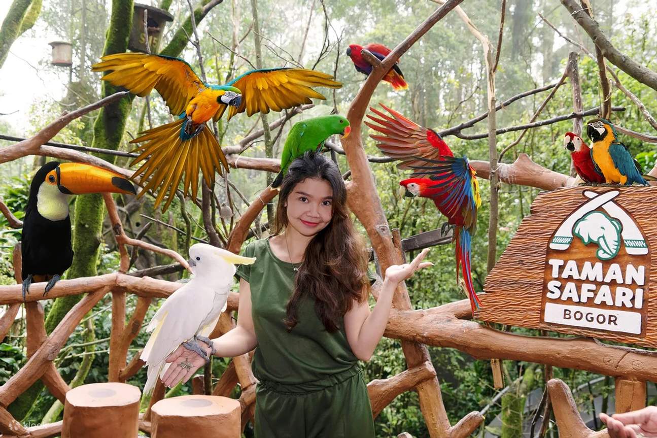 茂物野生動物園