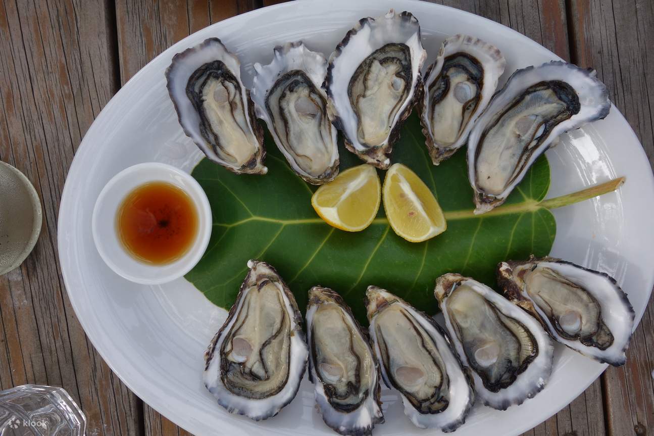 Дегустация устриц: тур по острову Waiheke от Klook