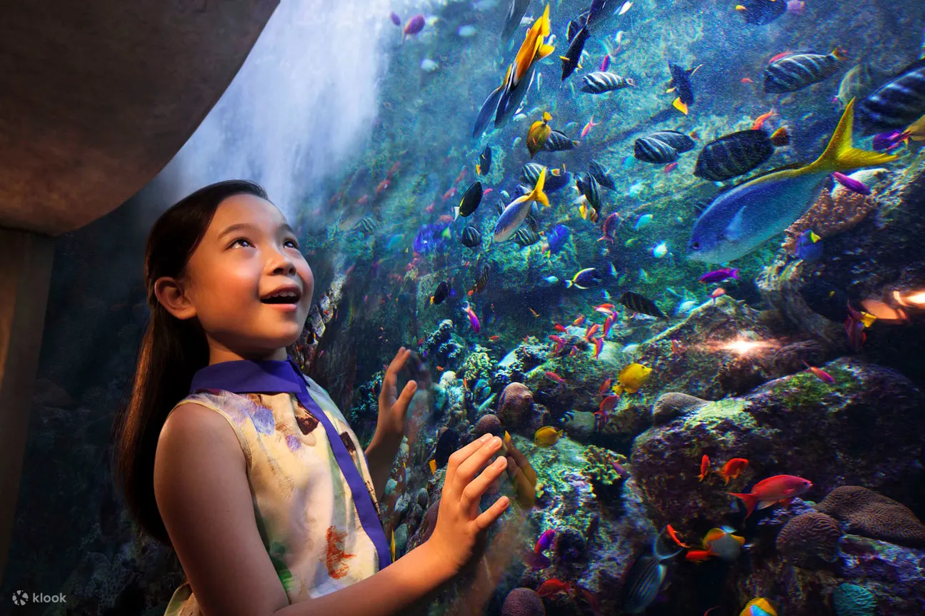 失落的空间水族馆的珊瑚礁
