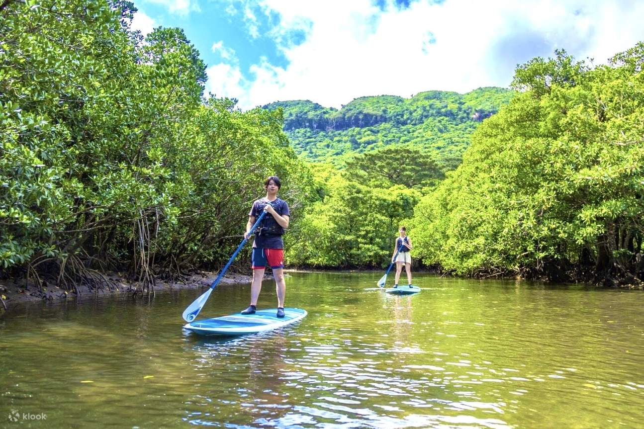 mangrove-sup-canoeing-and-canyoning-experience-iriomote-island