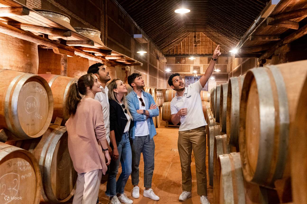 Toledo City Tour with Winery Experience from Madrid Klook