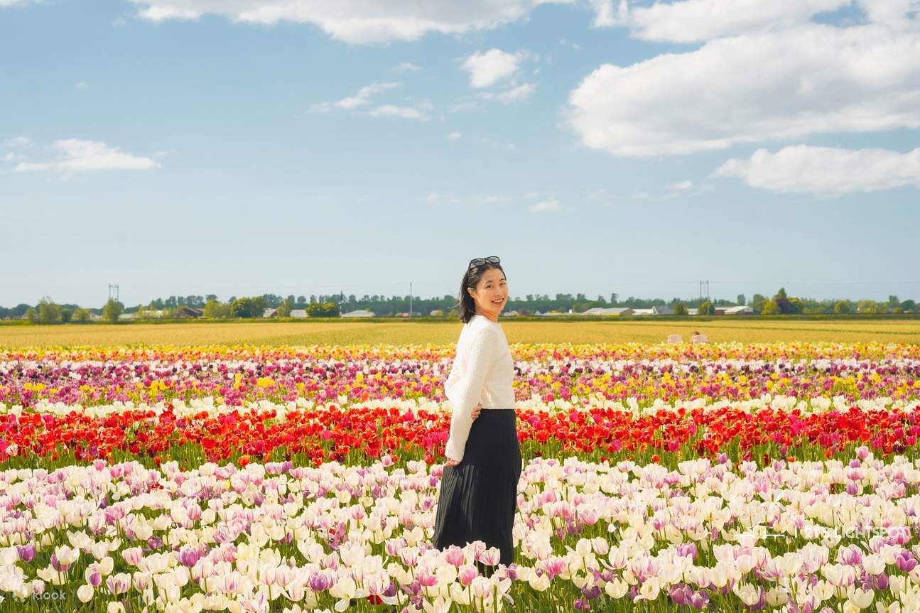 Lokasi Ladang Tulip 🌷 (Pemesanan untuk Tahun 2026)
Pilih dari dua tempat indah di dekat Lisse: Keukenhof atau Tulip Barn.
Catatan: Tiket untuk klien dan fotografer harus dibeli secara terpisah.