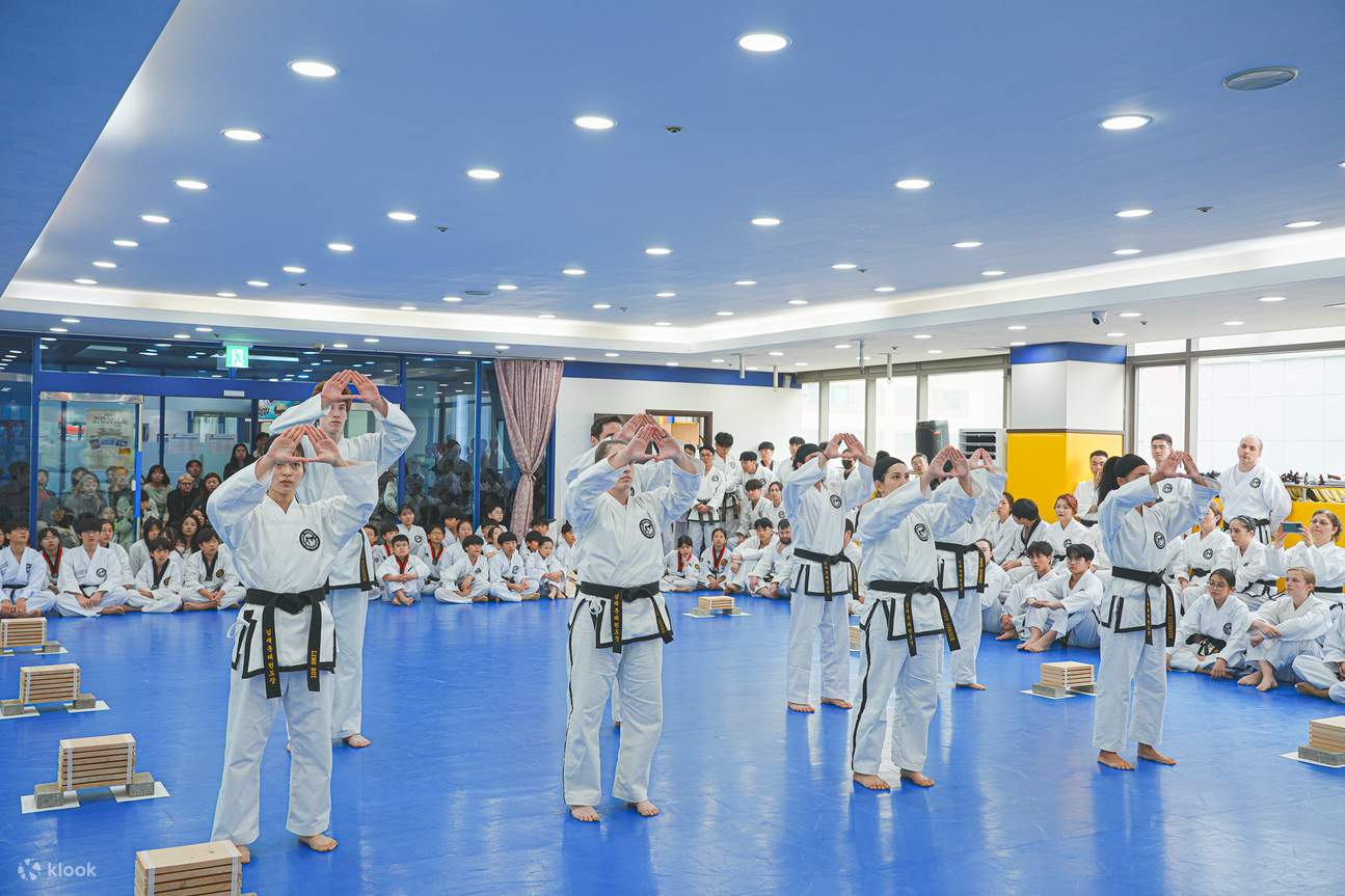 Authentic Taekwondo Class in Ilsan Gyeonggi near Seoul - Klook